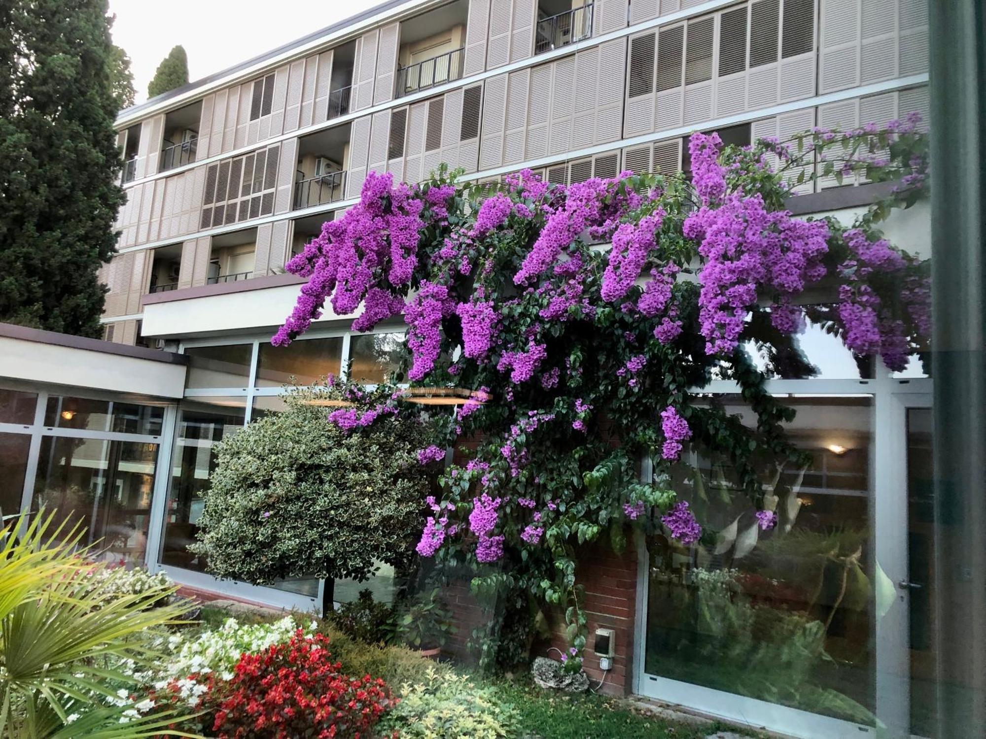 Residence Villa Alba Gardone Riviera Kültér fotó